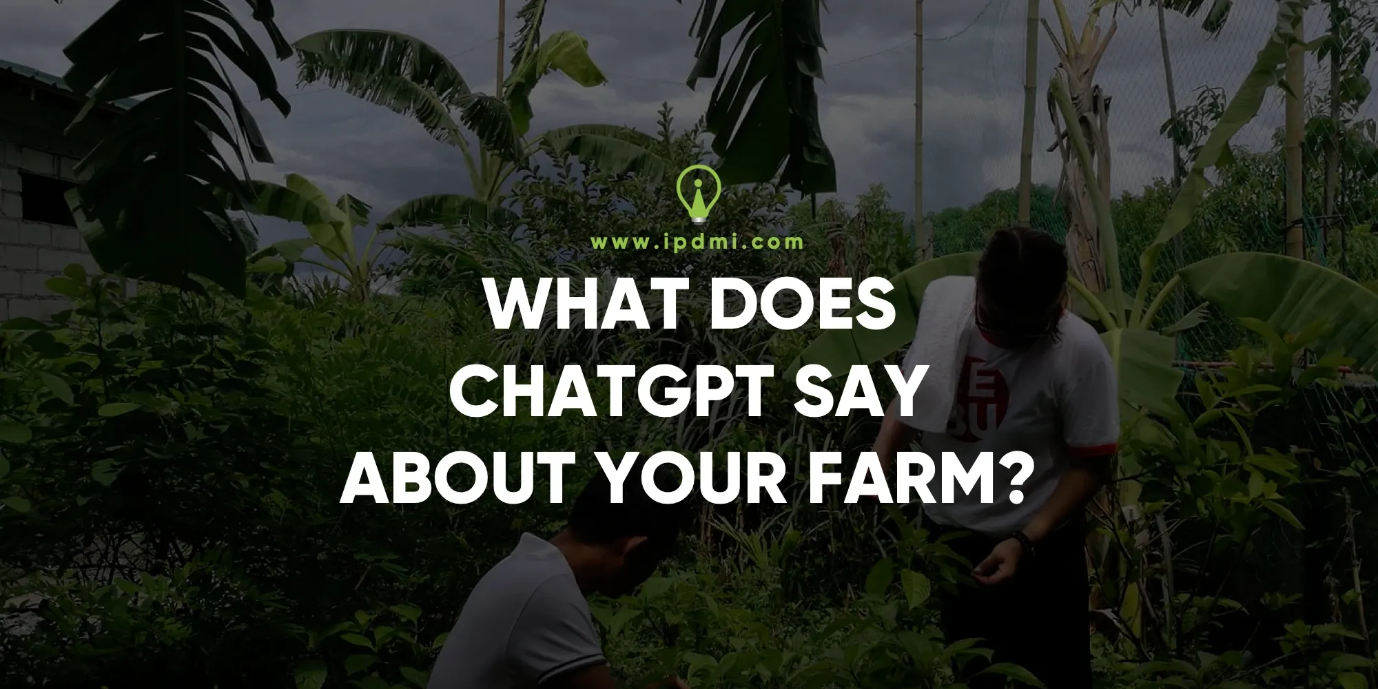 What Does ChatGPT Say About Your Farm?