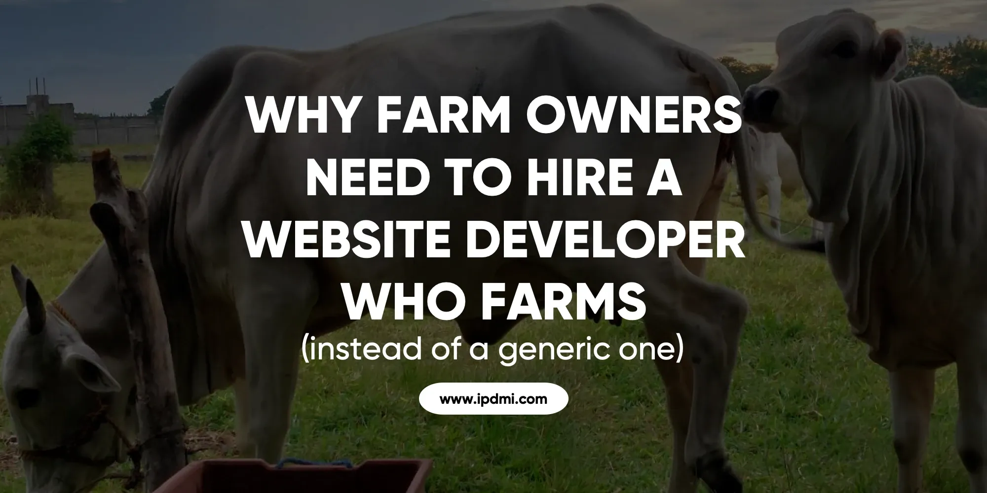 Why Farm Owners Need to Hire a Website Developer Who Farms (instead of a generic one)